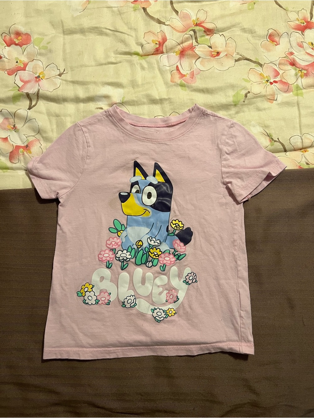 Bluey Pink Graphic Print T-Shirt 5T Short Sleeve